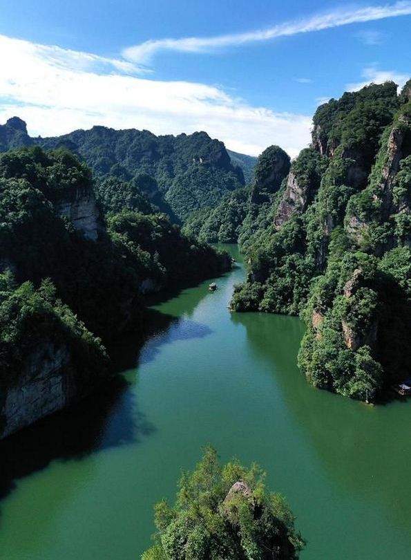 張旅集團
